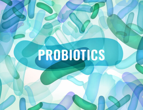 Whats the Fuss on Probiotics and Prebiotics?